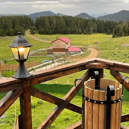 Chalet Zifinbungalov *